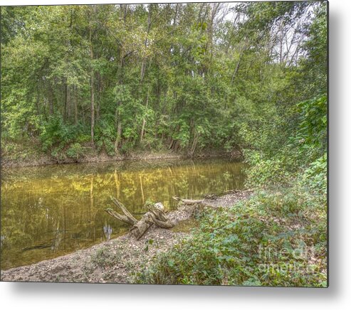River Metal Print featuring the photograph Walnut Creek by Jeremy Lankford