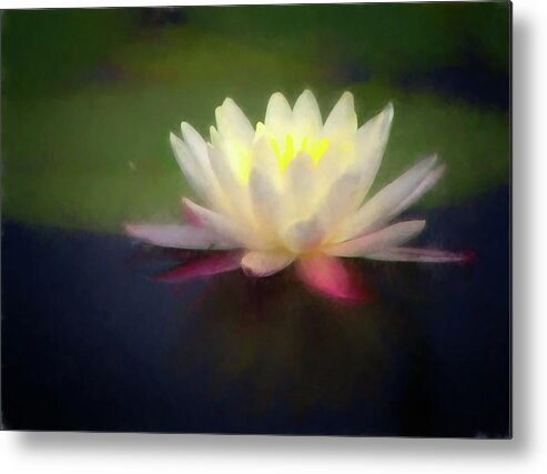 Flower Metal Print featuring the digital art Water Lily 1 by Steve DaPonte