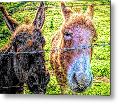 Animals Metal Print featuring the photograph A Face Only A Mother Could Love #1 by Barbara Snyder