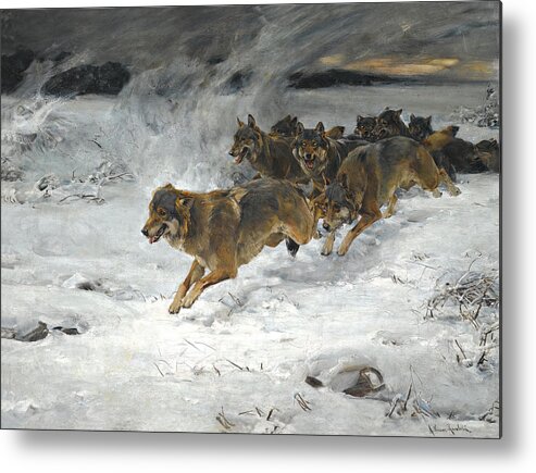 Wolf Metal Print featuring the painting A Pack Of Wolves #2 by Alfred Wierusz Kowalski