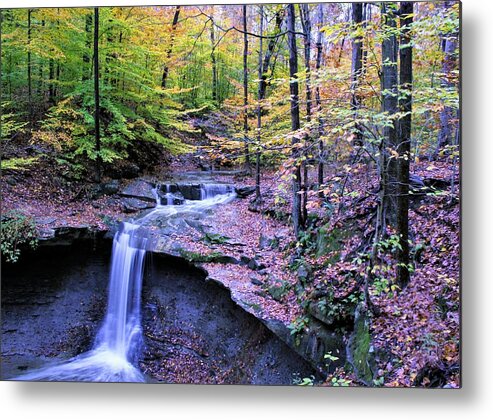  Metal Print featuring the photograph Blue Hen Falls by Brad Nellis