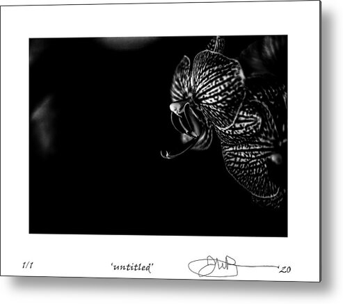 Digital Fine Art Metal Print featuring the digital art 14 by Jerald Blackstock