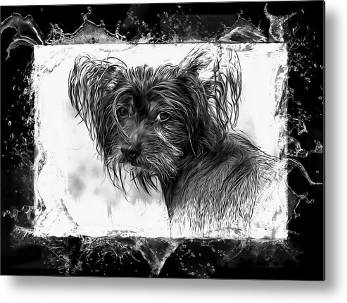 Dog Metal Print featuring the photograph Man's Best Friend #1 by Andrea Kollo