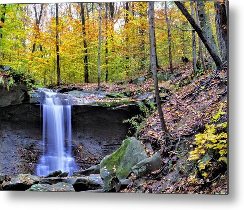  Metal Print featuring the photograph Blue Hen Falls by Brad Nellis