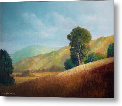 Oil Painting Metal Print featuring the painting Afternoon Light by Douglas Castleman