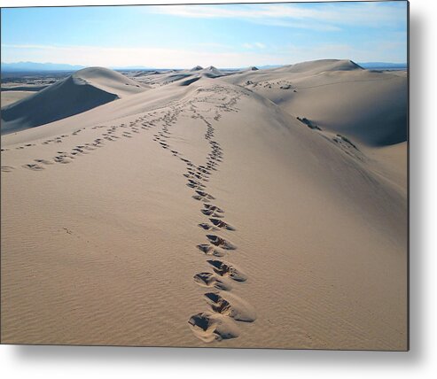 Sand Dune Metal Print featuring the photograph Algerian Sahara Dunes by Sascha Grabow