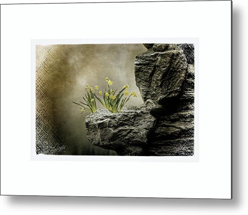 Daffodils Metal Print featuring the photograph All Things Are Possible by Rene Crystal