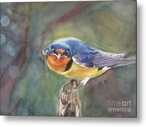 Barn Swallow Metal Print featuring the painting Are you looking at me? by Vicki B Littell