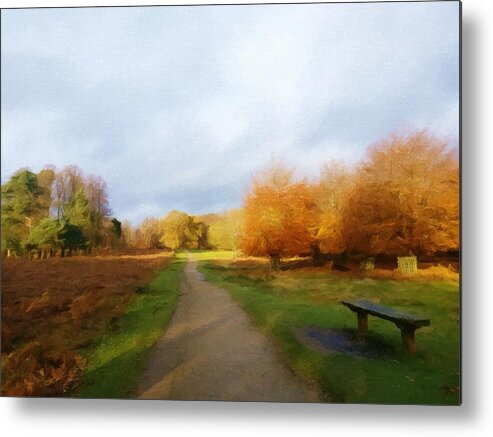 Park Metal Print featuring the photograph Autumn Seat by Abbie Shores