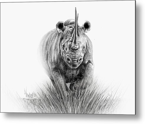 Charging Black Rhino Metal Print featuring the drawing Black Rhino by Dave Lawson