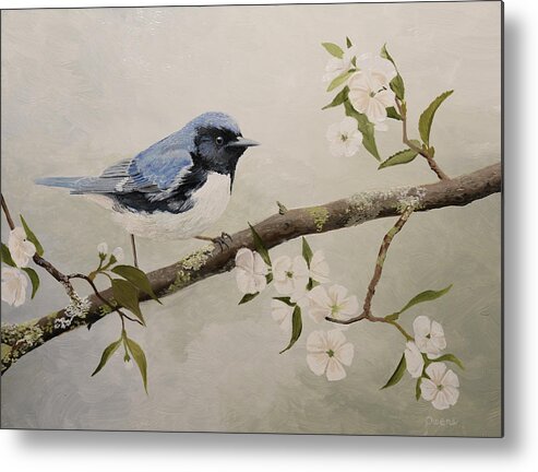 Warbler Metal Print featuring the painting Black-throated Blue Warbler by Charles Owens