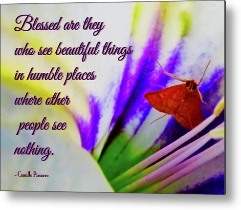 Adage Metal Print featuring the photograph Blessed by Judy Kennedy