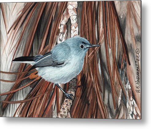 Gnatcatcher Metal Print featuring the painting Blue-Grey Gnatcatcher by Heather E Harman