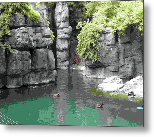Central Park Zoo Metal Print featuring the mixed media Central Park Zoo by M Three Photos