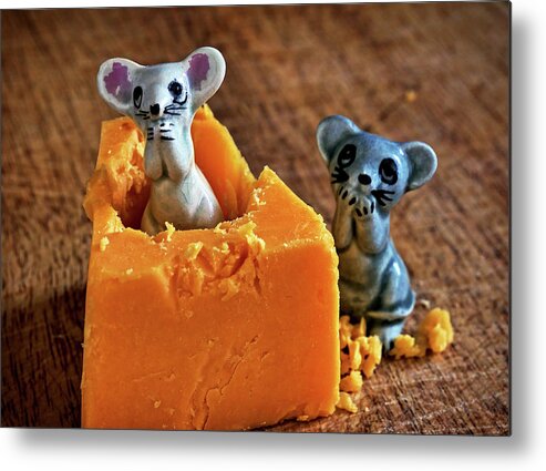 Don't Leave The Cheese Out Metal Print featuring the photograph Don't leave the cheese out by Martin Smith