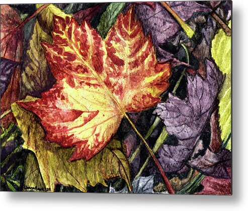 Leaf Metal Print featuring the drawing Fading Beauty by Shana Rowe Jackson