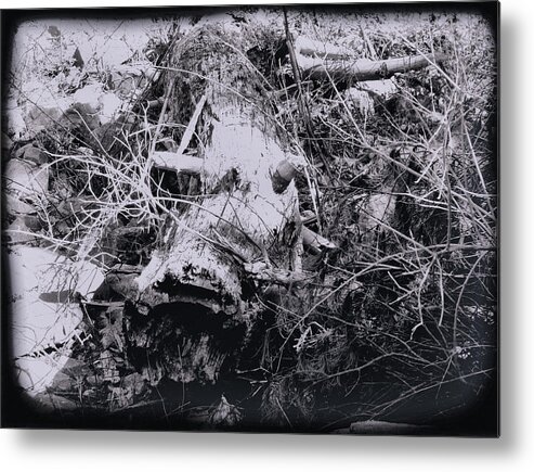 Tree Metal Print featuring the photograph Fallen Tree by Christopher Reed