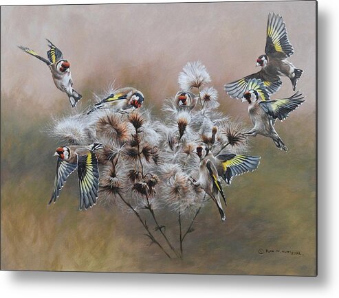 Finch Metal Print featuring the painting Flock of Goldfinches on Thistle by Alan M Hunt