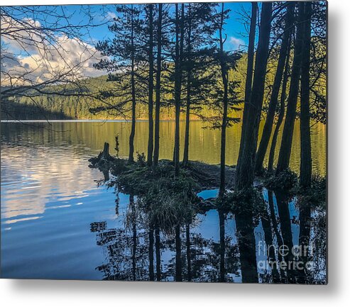 Orcas Island Metal Print featuring the photograph Flooded Lake by William Wyckoff