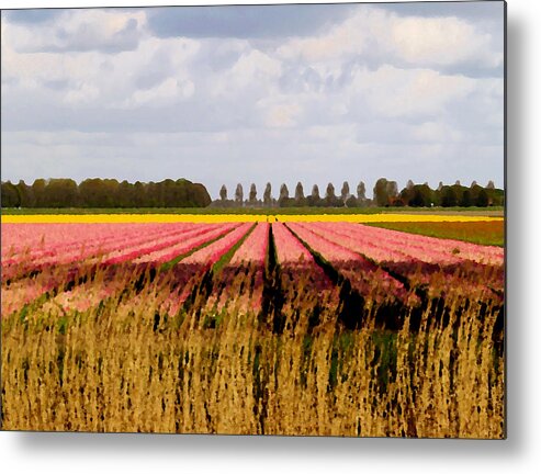 Photography Metal Print featuring the photograph Flower my bed by Luc Van de Steeg