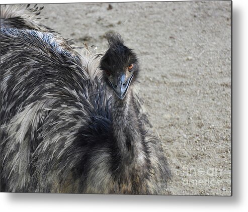 Face of a Blue Emu with Black Feathers Zip Pouch by DejaVu Designs - Fine  Art America