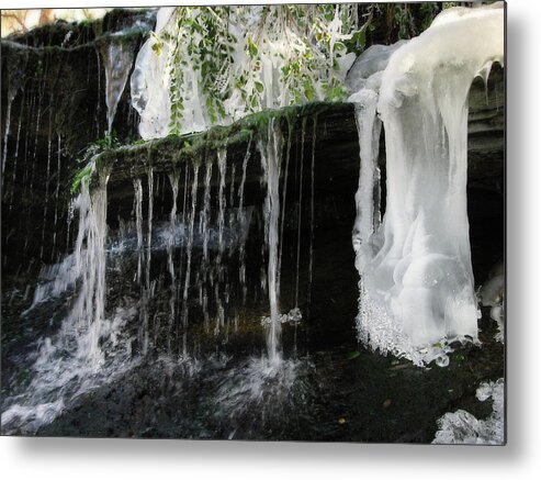 Cookeville Metal Print featuring the photograph Fresh Frozen - greenery encased in ice at Cookeville TN City Lake Waterfall by Peter Herman