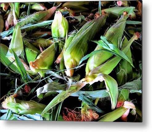 Corn Metal Print featuring the photograph Fresh Jersey Corn Ready for Shucking by Linda Stern