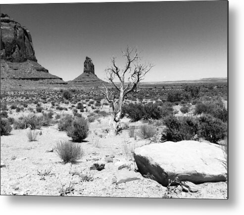 Tree Metal Print featuring the photograph Hardscrabble Land by Calvin Boyer