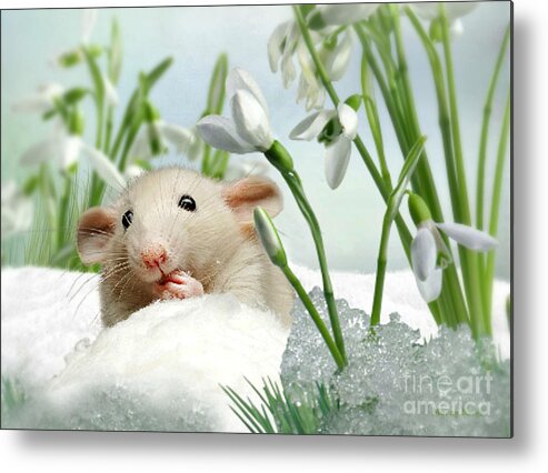 Mouse Metal Print featuring the mixed media Is it Spring Yet ? by Morag Bates