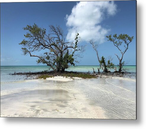 Key West Florida Waters Metal Print featuring the photograph Key West Waters by Ashley Turner