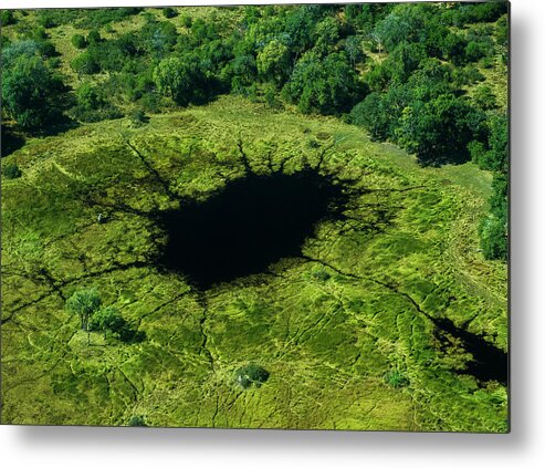 Africa Metal Print featuring the photograph Lost in green by Stefan Knauer