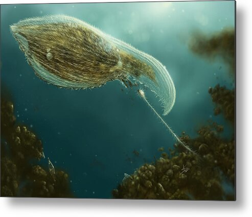 Protozoa Metal Print featuring the digital art Loxophyllum attacked by Lacrymaria by Kate Solbakk