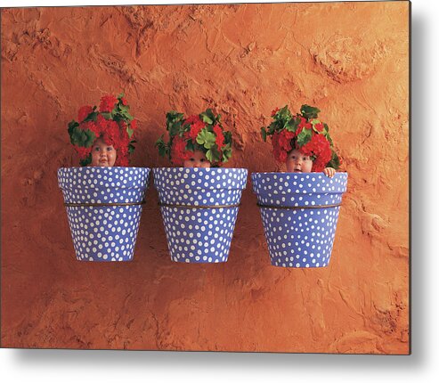 Color Metal Print featuring the photograph Mediterranean Pots by Anne Geddes