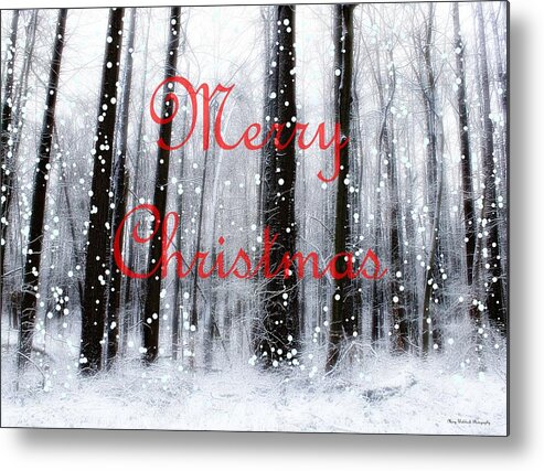 Christmas Metal Print featuring the photograph Merry Christmas at the Woods of Nimisila by Mary Walchuck