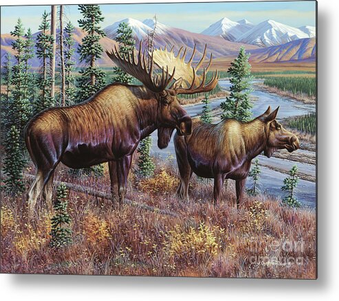 Cynthie Fisher Art Metal Print featuring the painting Moose  by Cynthie Fisher