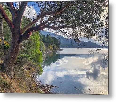 Orcas Island Metal Print featuring the photograph November on Crescent Beach by William Wyckoff