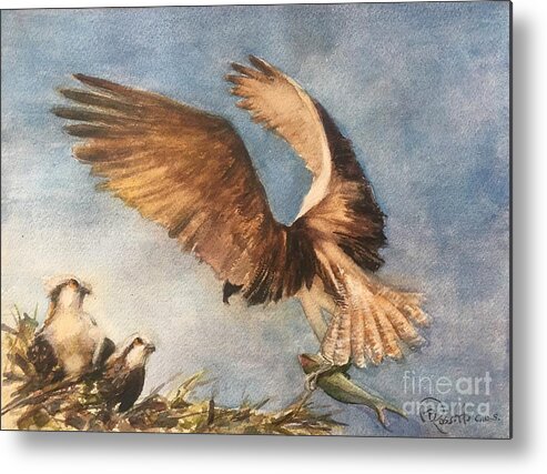 Osprey Metal Print featuring the painting Osprey Landing by B Rossitto