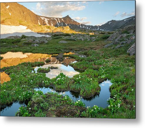 Breckenridge Metal Print featuring the photograph Pacific Peak Reflection 3 by Aaron Spong