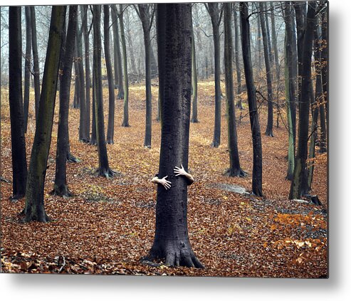 Hiding Metal Print featuring the photograph Person Hugging Tree by David Trood