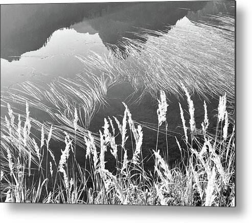 Reflections Metal Print featuring the photograph Picture Lake Abstract by Vicki Hone Smith