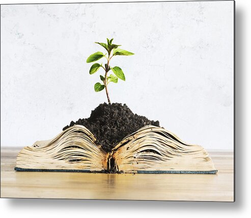 Environmental Conservation Metal Print featuring the photograph Plant growing out of open book by Dimitri Otis