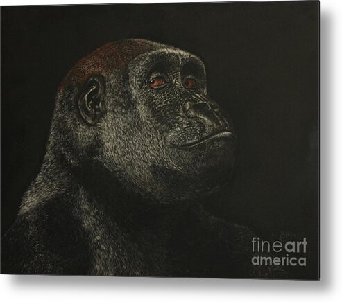 Gorilla Metal Print featuring the painting Really ? by Bob Williams