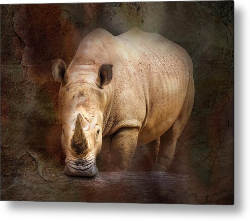 Atlanta Zoo Metal Print featuring the photograph Rhino in Atlanta by Penny Lisowski