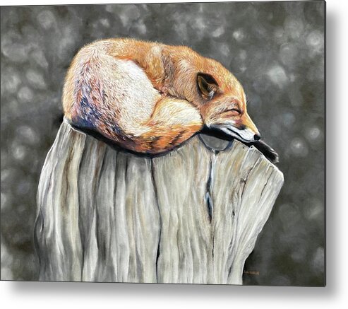 Red Fox Metal Print featuring the pastel Sleeping fox by Kathy Laughlin