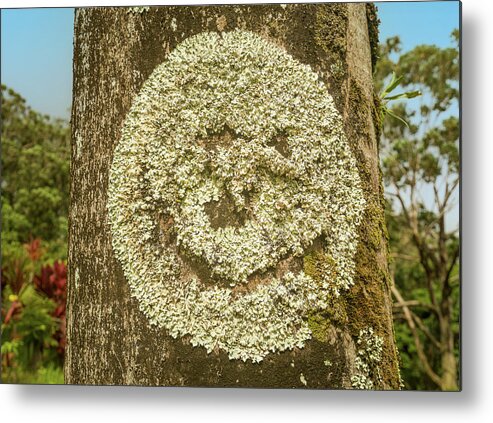Abstract Metal Print featuring the photograph Smiley face on a tree trunk created naturally by Steven Heap