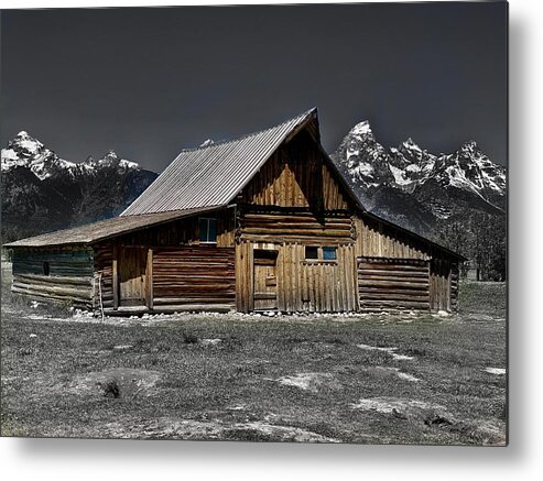 Landscape Metal Print featuring the photograph Synergy by Devin Wilson