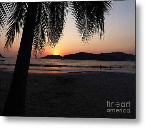 Palm Silhouette Metal Print featuring the photograph The Last Rays by Rosanne Licciardi