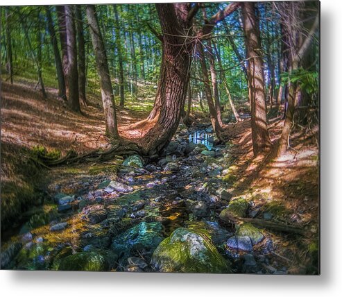 Woods Metal Print featuring the photograph The Parrish Woods by Jerry LoFaro