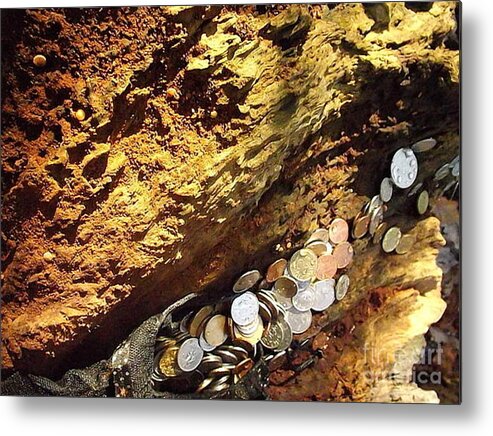 Old Coins Metal Print featuring the photograph Treasure Bark 4 by Denise Morgan