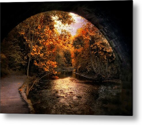 Autumn. Fall Metal Print featuring the photograph Tunnel Vision by Jessica Jenney